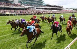 Tìm Hiểu Cá Cược Đua Ngựa U888: Chinh Phục Tốc Độ, Thắng Lớn Hấp Dẫn