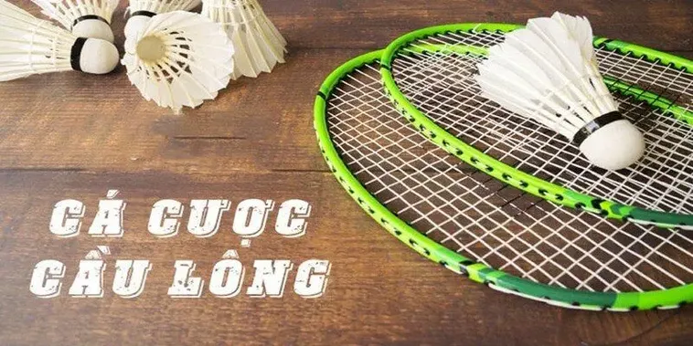 Hướng Dẫn Cá Cược Cầu Lông U888: Bí Quyết Thắng Lớn Cho Người Chơi