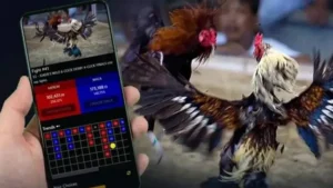 Khám Phá Cách Chơi Đá Gà WS168 Tại U888 Siêu Hấp Dẫn