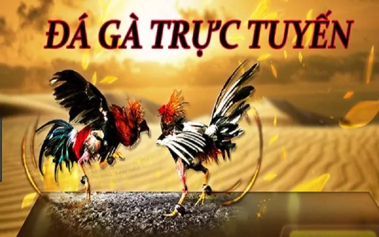 Tìm Hiểu Cách Chơi Đá Gà GA28 Tại U888 Đầy Kịch Tính