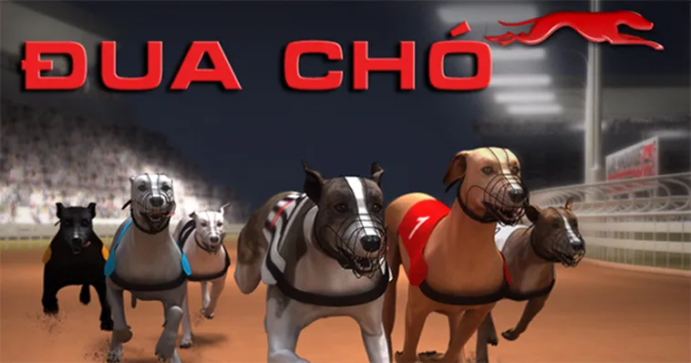 Khám Phá Cách Chơi Game Nhanh Đua Chó Tại U888 Để Rinh Thưởng Khủng